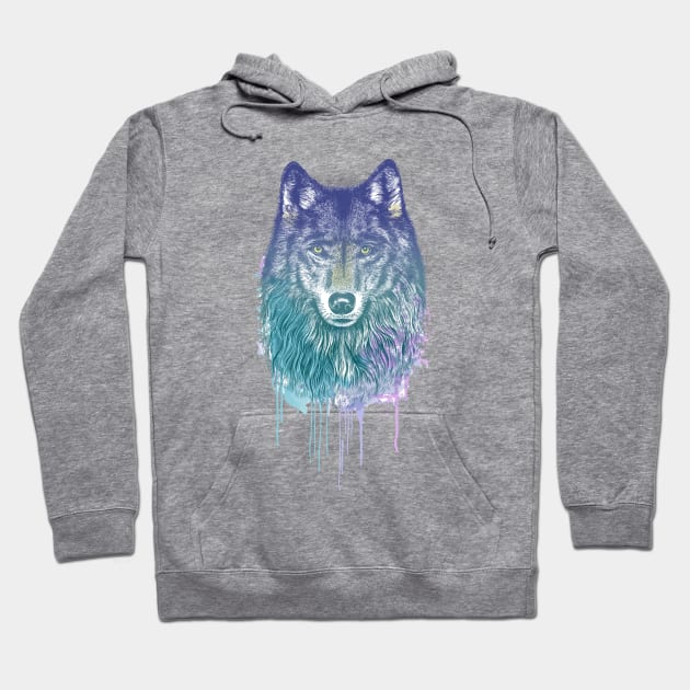 Dream Wolf Hoodie by rcaldwell